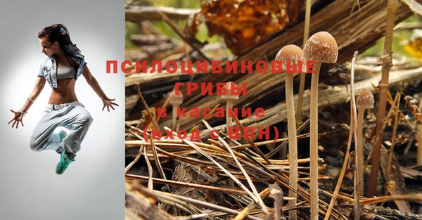 spice Горно-Алтайск