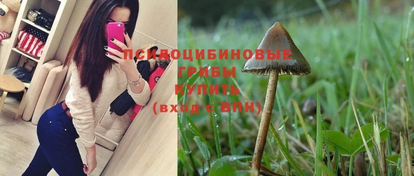 spice Горно-Алтайск