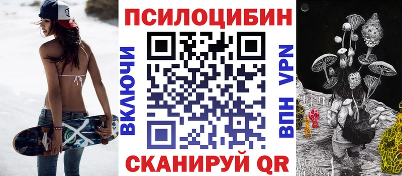 где продают наркотики  Гусиноозёрск  Галлюциногенные грибы мицелий 
